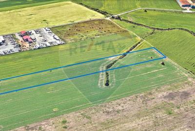 Teren comercial 5 ha, PUZ aprobat, acces direct Centura Nord Arad - 7