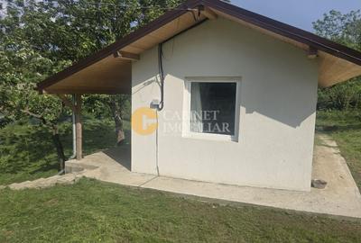 Oază de liniște și natură! Casă  cu 2 heleșteie și pârâu în curte – Probota - 12