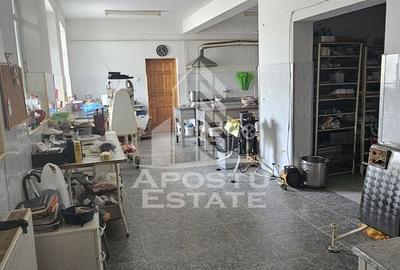 Casa vanzare I pozitie centrala I zona Cetatii I Timisoara - 3