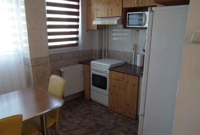Garsonieră modernă de închiriat în zona Veteranilor-Lujerului - 6