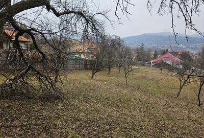 PROPRIETAR-Vand pensiune, Comarnic - 12