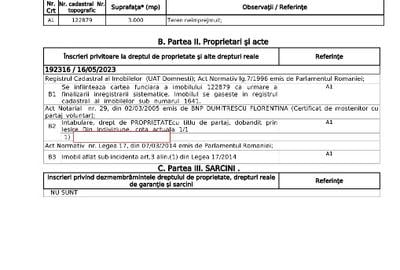Teren 3.000 mp in Domnesti - Pret bun, oportunitate investitie rapida - 1