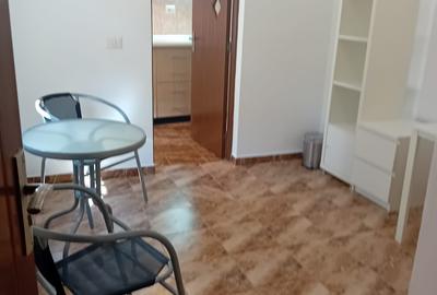 Apartament 2 Camere,la curte,Iancului,Matei Voievod,parter,DECOMANDAT,centrala - 29