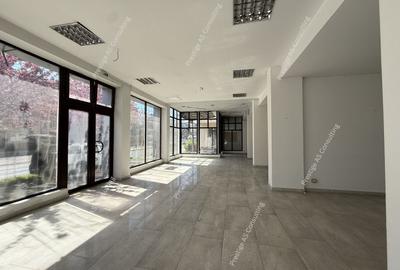 Spatiu comercial 485 mp | Stradal | ISU | 3 intrari | L Rebreanu - 2