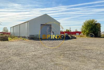 De inchiriat hala 430mp Bragadiru - 6