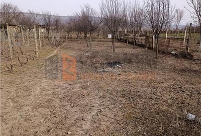 Casa tip parter zona Ulmeni - 16