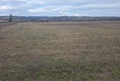 Teren intravilan industrial Fagaras - 3