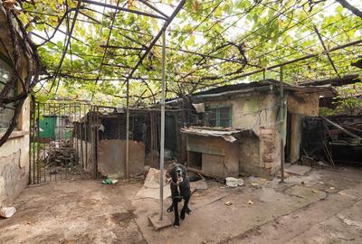 RECO  Casa in Episcopia Bihor cu teren de 704mp - 15