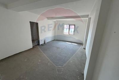 Apartament Brazda Parter +Demisol 190mp - 1