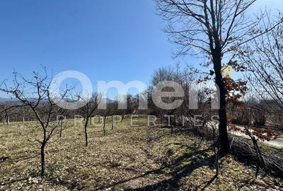 Teren intravilan | Berința | 5800 mp - 3