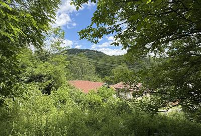 Teren intravilan 1859 mp Plaiu Provita de Sus la asfalt ! - 19