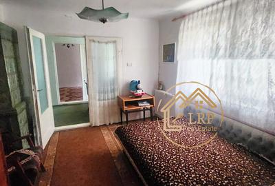 Oportunitate Investiție DN5: 1 ha Intravilan+Casă–Mix Rezidențial/Comercial - 11