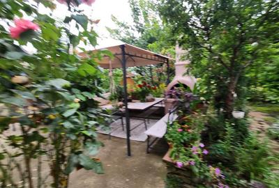 Vila Julie Ultracentral Suceava De Vanzare 0727817187 - 17