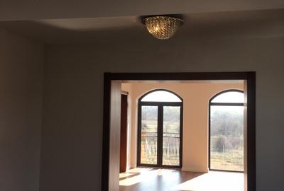 Inchiriere Vila De Lux Baneasa Sisesti - 20