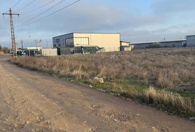 Teren intravilan , 3000 mp , deschidere 78 m, zona Carcea - 1