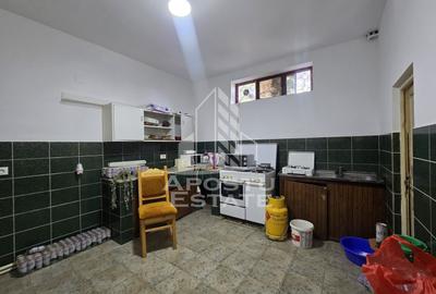 Casa de vanzare, potential pensiune, pe malul Timisului,Sag,comision 0 - 17