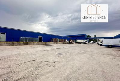 3 Hale Clasa A | 11.250mp Construiti 25.450mp Teren | Freidorf - 13