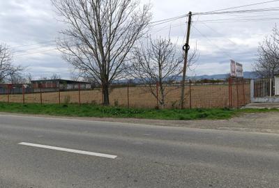 Teren pentru constructii, Letea Veche - 1