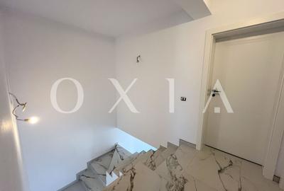 SX676 Mosnita Veche - Padurea Bistra - Disponibil Imediat - 11