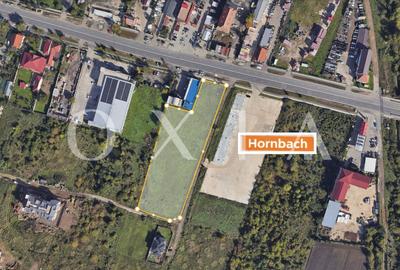 Teren Construcții intravilan de 8063 mp, în Buziașului