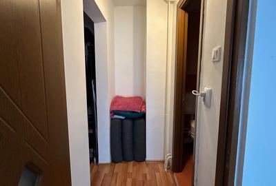 Teiul Doamnei vanzare ap 2 camere Grigore Ionescu la cheie - 4