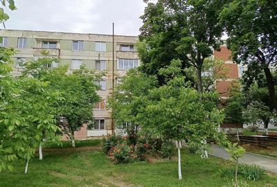 Apartament 2 camere in zona centrala Moldova Noua - 13