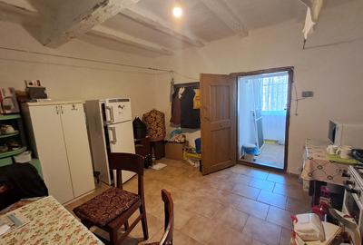 Valcani, proprietate cu casa taraneasca - 11