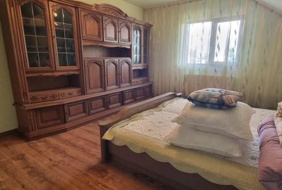 Casă rezidențială cu mansardă și garaj, teren 5000mp, Cateasca, Arges - 14
