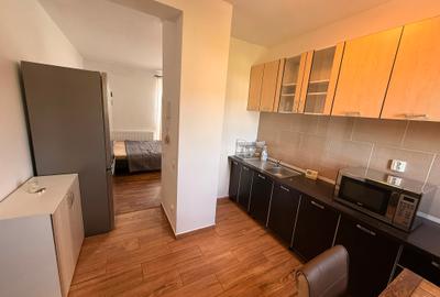 Apartament 1 camera decomandat zona Tineretului - 5