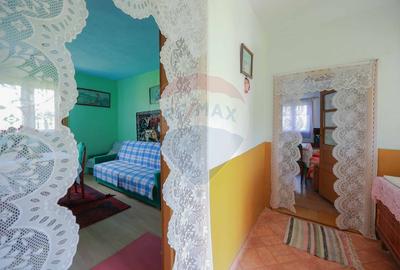 De vânzare casă cu teren și pădure 55706 mp - Șinteu, Valea Târnei - 9
