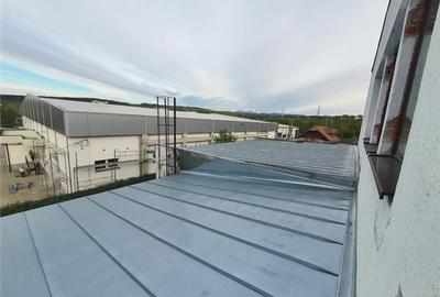Ocazie! Spatiu industrial P+1 cu 1300mp suprafata utila ,in Cisnadie - 18