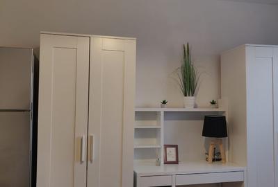 Proprietar, închiriez apartament cu 1 cameră zona ISHO - Take Ionescu - 2