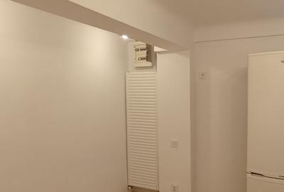 Apartament 3 camere NEMOBILAT demisol vila zona Dimitrie Cantemir-Marasesti - 10