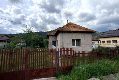 Casa individuala  Leresti la strada principala+ teren 831 mp, utilitati complete - 17