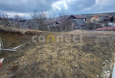 Casă individuală de vânzare | SU  113,7 mp | Teren 341 mp | Dezmir - 15