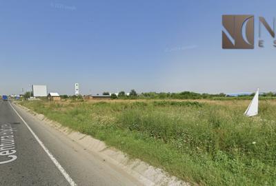 Teren 23.600 mp | Chitila - Centura Bucuresti | 0% Comision - 7