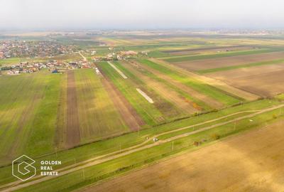 Parcele de 550 mp in Livada, cu toate utilitatile la strada - 2