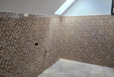Casa noua in Catamarasti Vale - 13