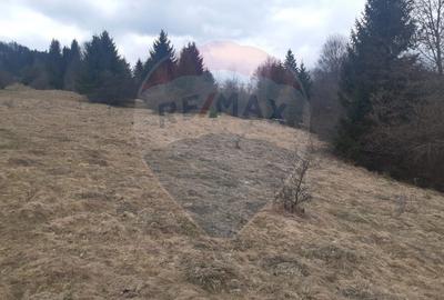 Teren Rasnov/ Soseaua Predealului DN73B - 3