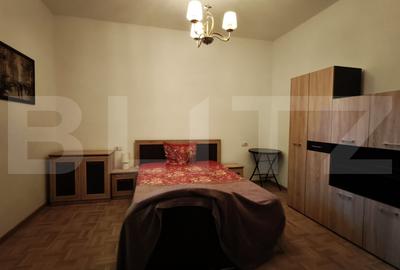 Apartamente in curte propie, mobilat, renovat - 8