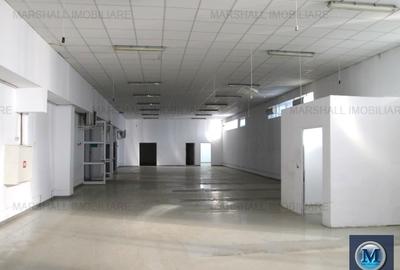 Spațiu industrial, 1000 mp în Filipeștii de Pădure