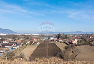 Teren intravilan 9.000 mp pentru dezvoltare rezidențială sau mixtă - 15