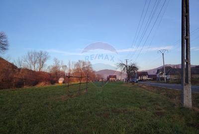 COMISION 0%  Teren intravilan de vanzare in Barsana (26 ARI) - 10