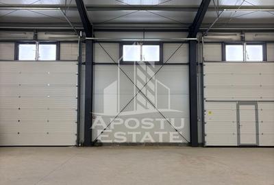 Hala cu acces tir,  300 MP Mosnita noua - 2