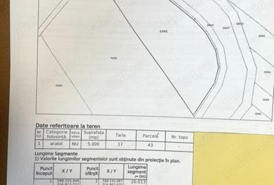 NOU! TEREN INTRAVILAN | LA LIMITA CU SEC 4 | OPORTUNITATI | JILAVA - 1