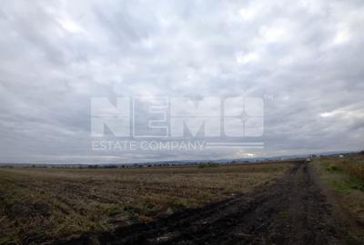 TEREN | Radauti | 6.000 mp | 62.800 EURO - 2