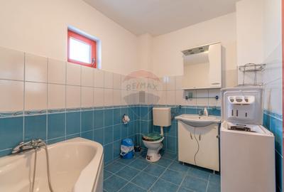 Casa de vanzare Jucu de Mijloc, Zona Panemar Teren intravilan 3301 mp - 11