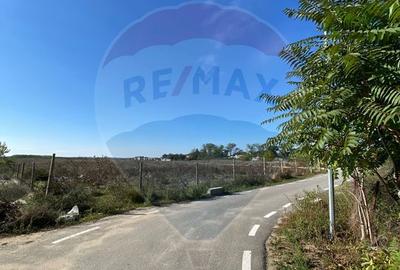 Teren 2,500mp Malu Mare / Strada Bisericii - 7