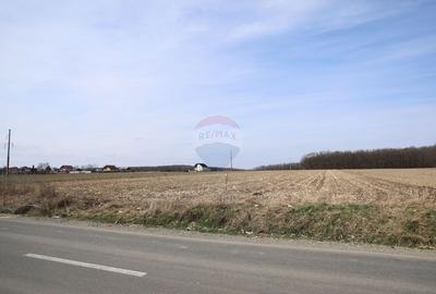 Teren 9,740mp Suceava / Strada Principala - 5
