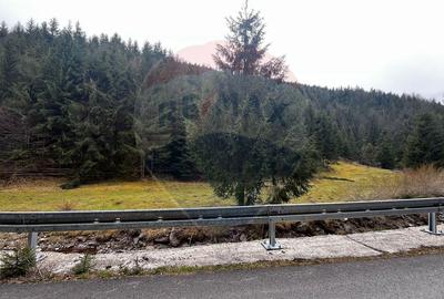 Arieșeni–Strada Fața Cristesei -Teren 4.331 mp cu Peisaj de Poveste - 10
